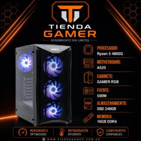 PC GAMER RYZEN 5 4600G