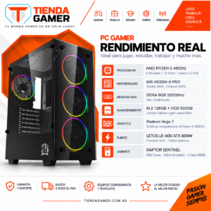 PC GAMER RYZEN 5 4600G
